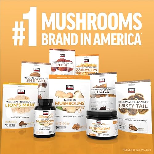 Miniatura 8 de Force Factor Modern Hongos en polvo, suplemento de hongos para apoyar la energía, la concentración, la inmunidad y la digestión con Cordyceps, cola