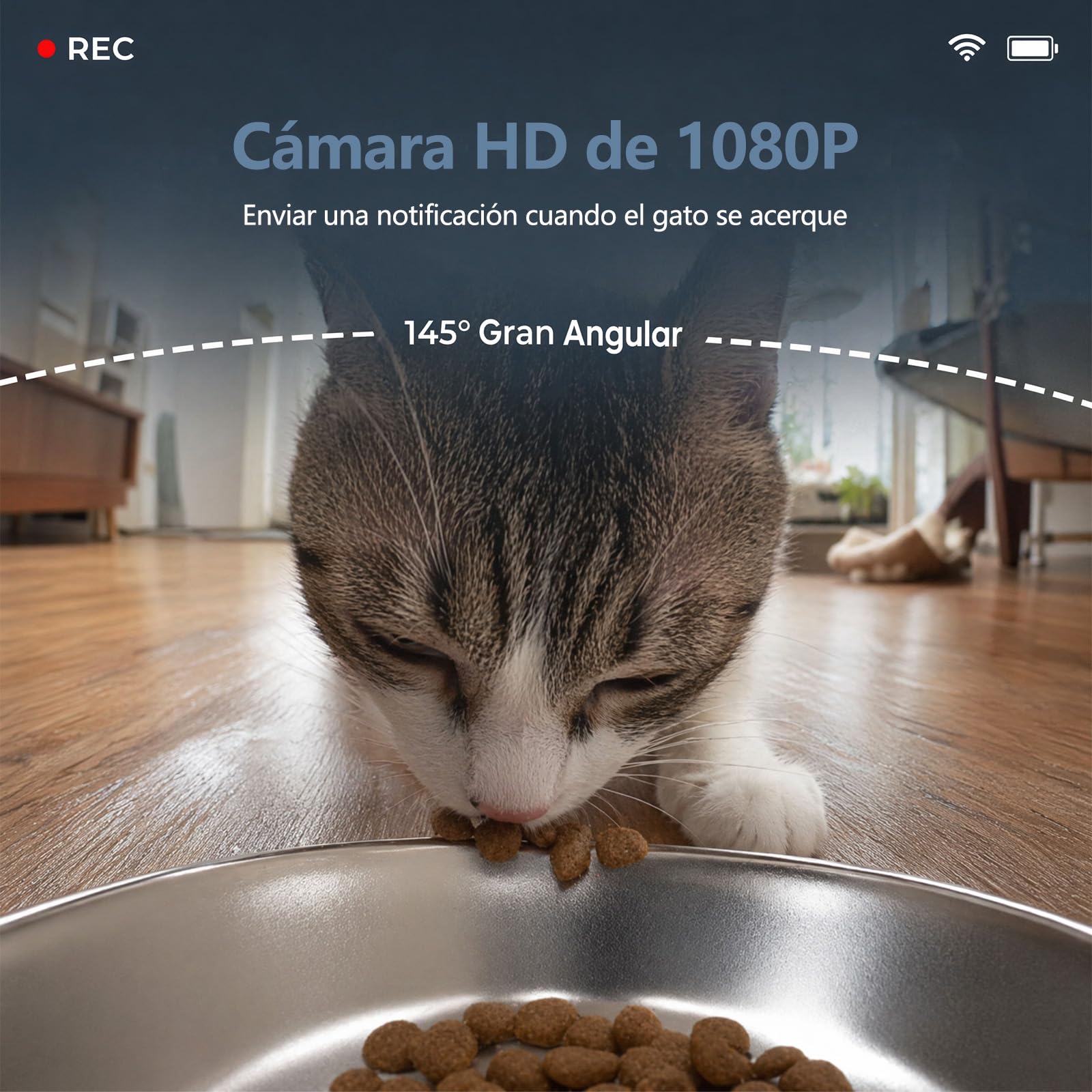 Comedero Gato Automatico con Cámara, 6L Dispensador WiFi 5G/2.4G | Visión Nocturna Color y Movimiento Detección, Comedero Inoxidable, Programación 10 Comidas, Voz Grabación, Batería Repuesto