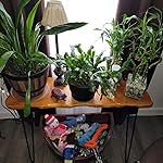 Review Image by Robyn L. Bishop Robyn L. Bishop