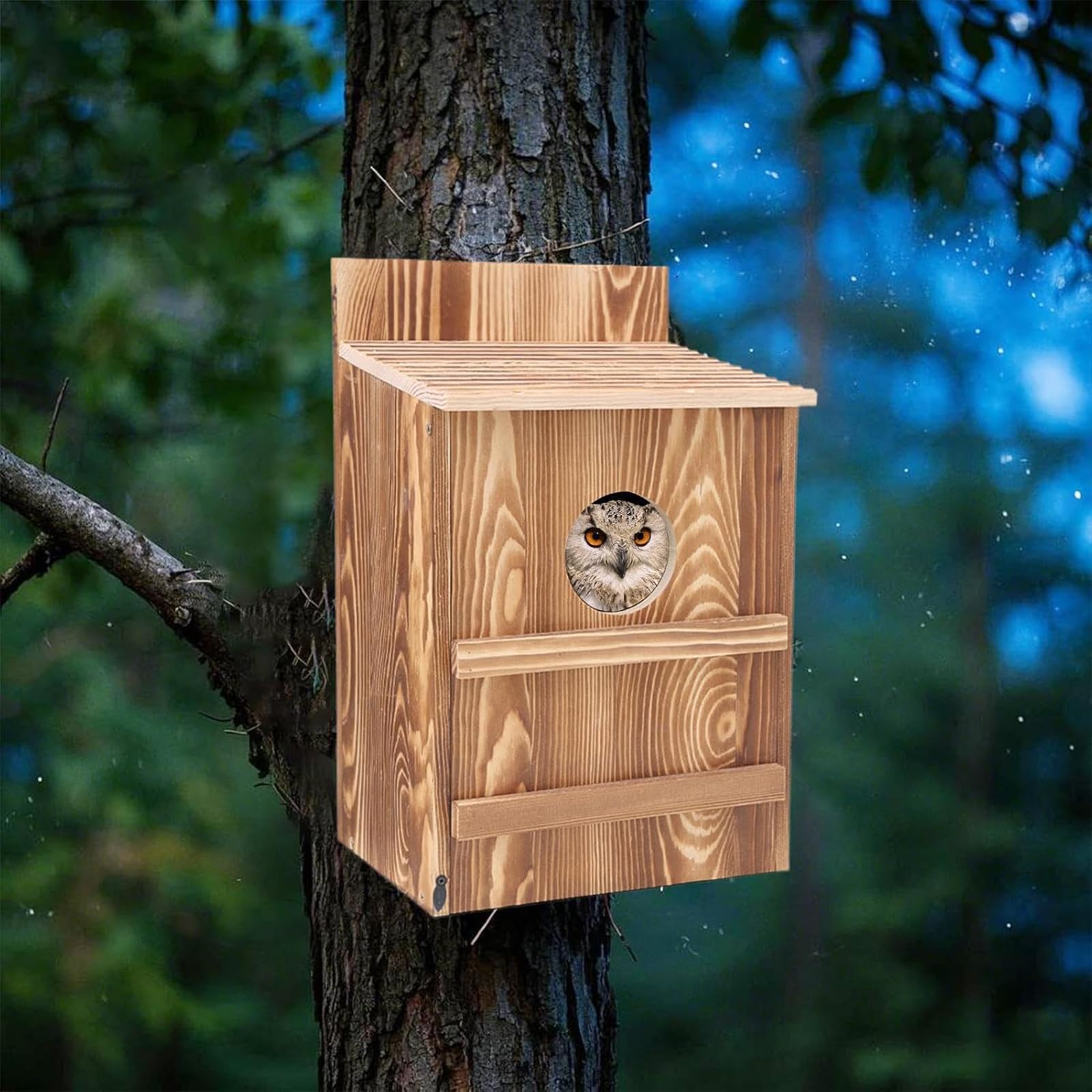 Casetta per Uccelli a Forma di Gufo in Legno, Nido Esterno per Falchi e Uccelli, Rifugio per Uccelli con Viti per Installazione su Alberi, Muri, Palo, Giardino e Cortile 36.8 * 19 * 22.8