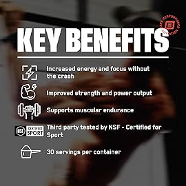 BARE PERFORMANCE NUTRITION BPN Flight Pre Workout, Supports Energy and Mental Focus, Improved Endurance & Muscle Pumps with CarnoSyn Beta Alanine, Mango, 30 Servings
