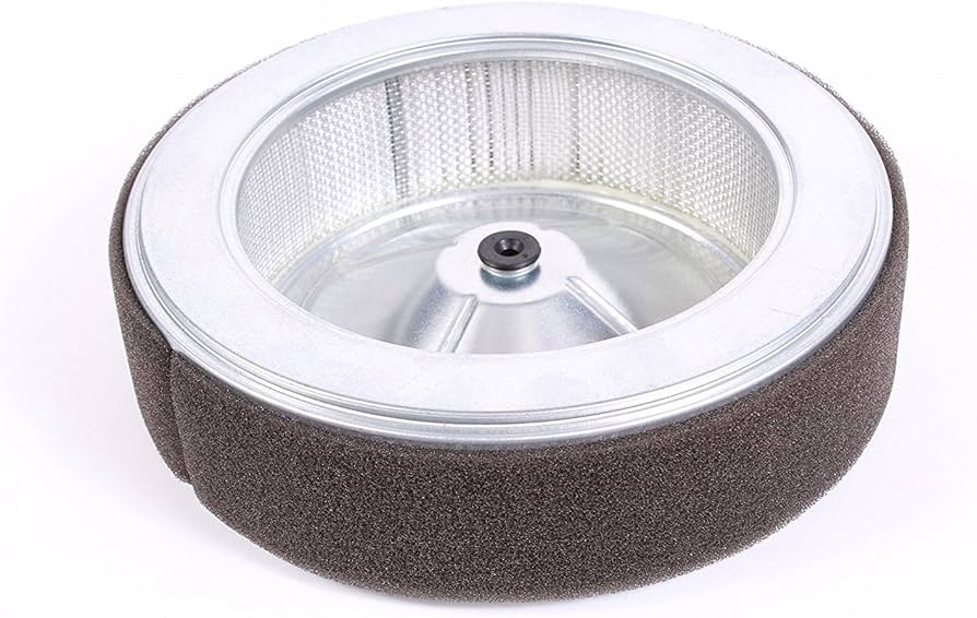 Amazon.com : Honda 17210-Z6L-010 Air Cleaner Element : Patio, Lawn