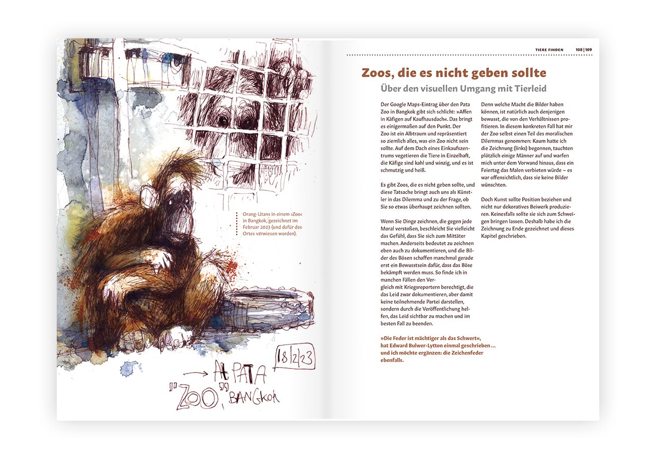 Tiere zeichnen und verstehen