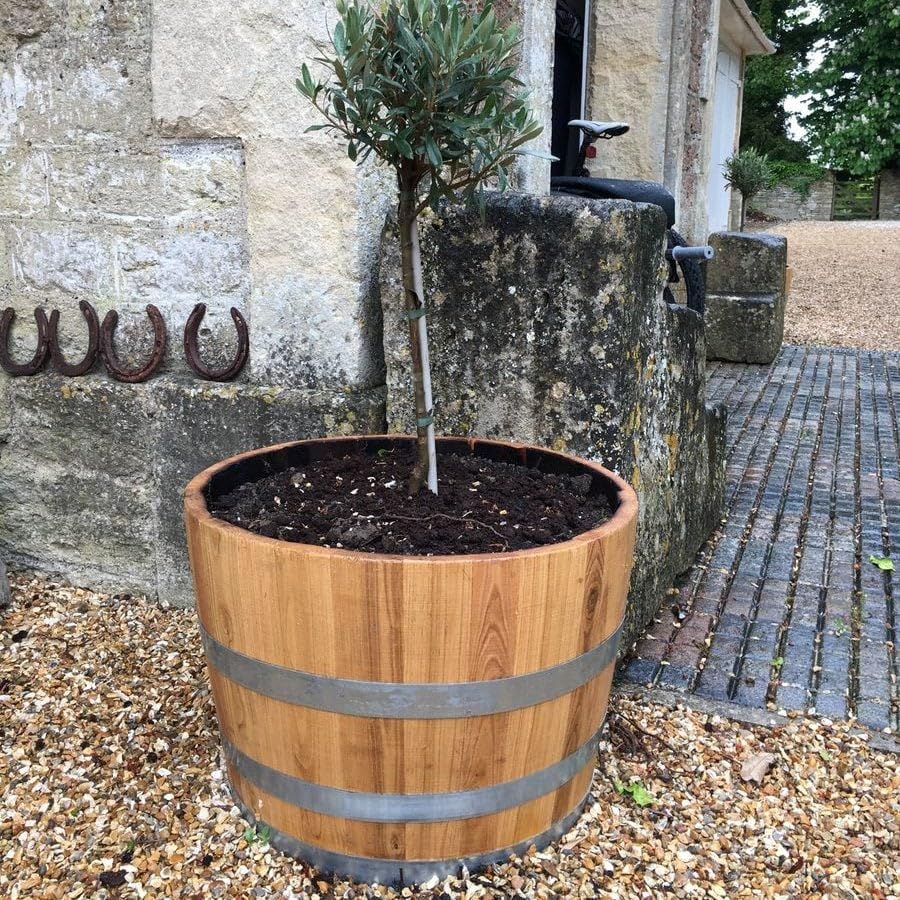 Celtic Timber 75L Half Acacia Chestnut Oak Barrel Garden Planter Tub from