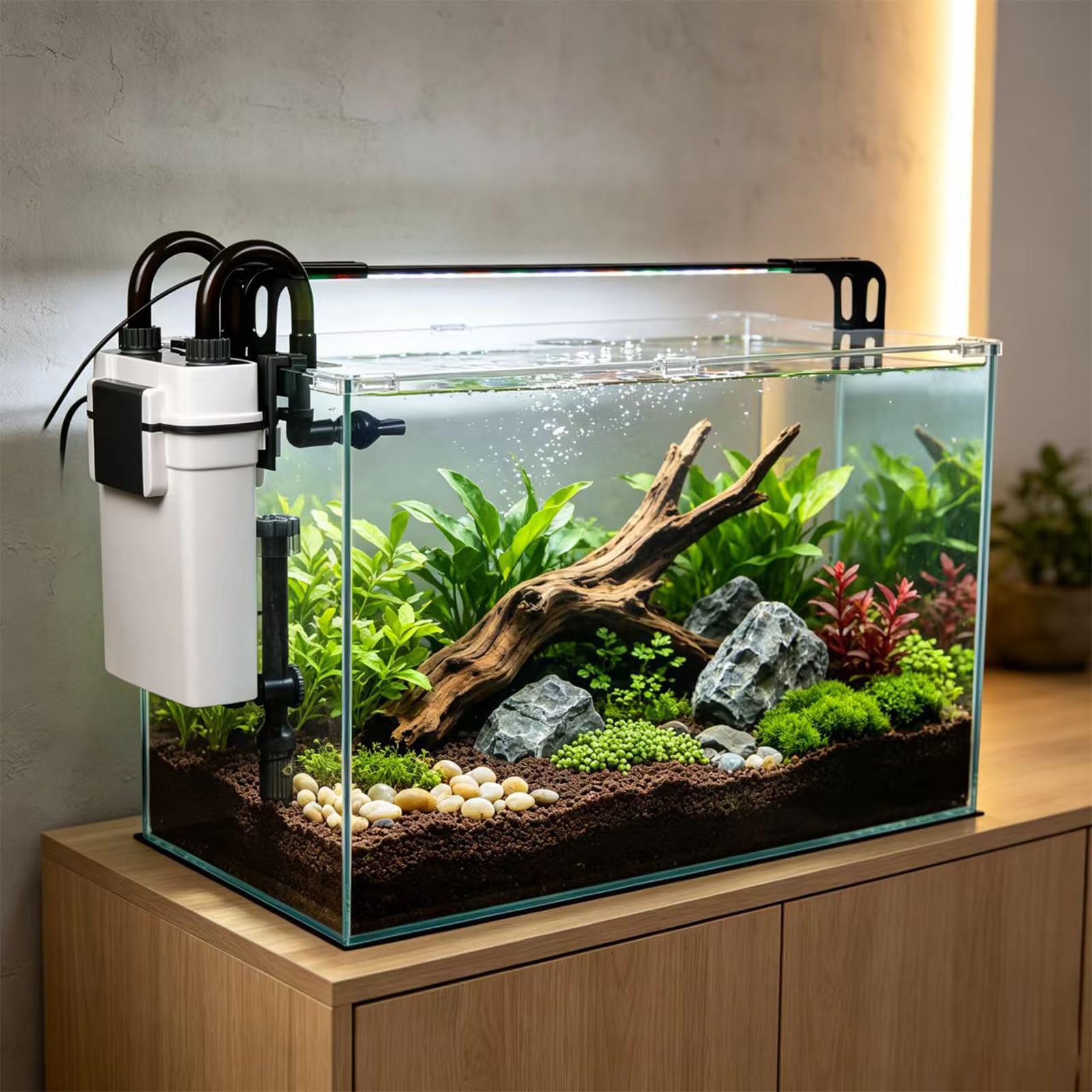 Vimvins Petit aquarium en verre de 20 gallons, kit de démarrage pour aquarium Betta avec filtre, lumières.