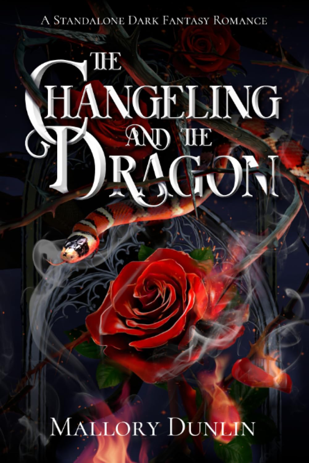The Changeling and the Dragon: A Standalone Dark Fantasy Romance: 3 (Echoes of the Void)
