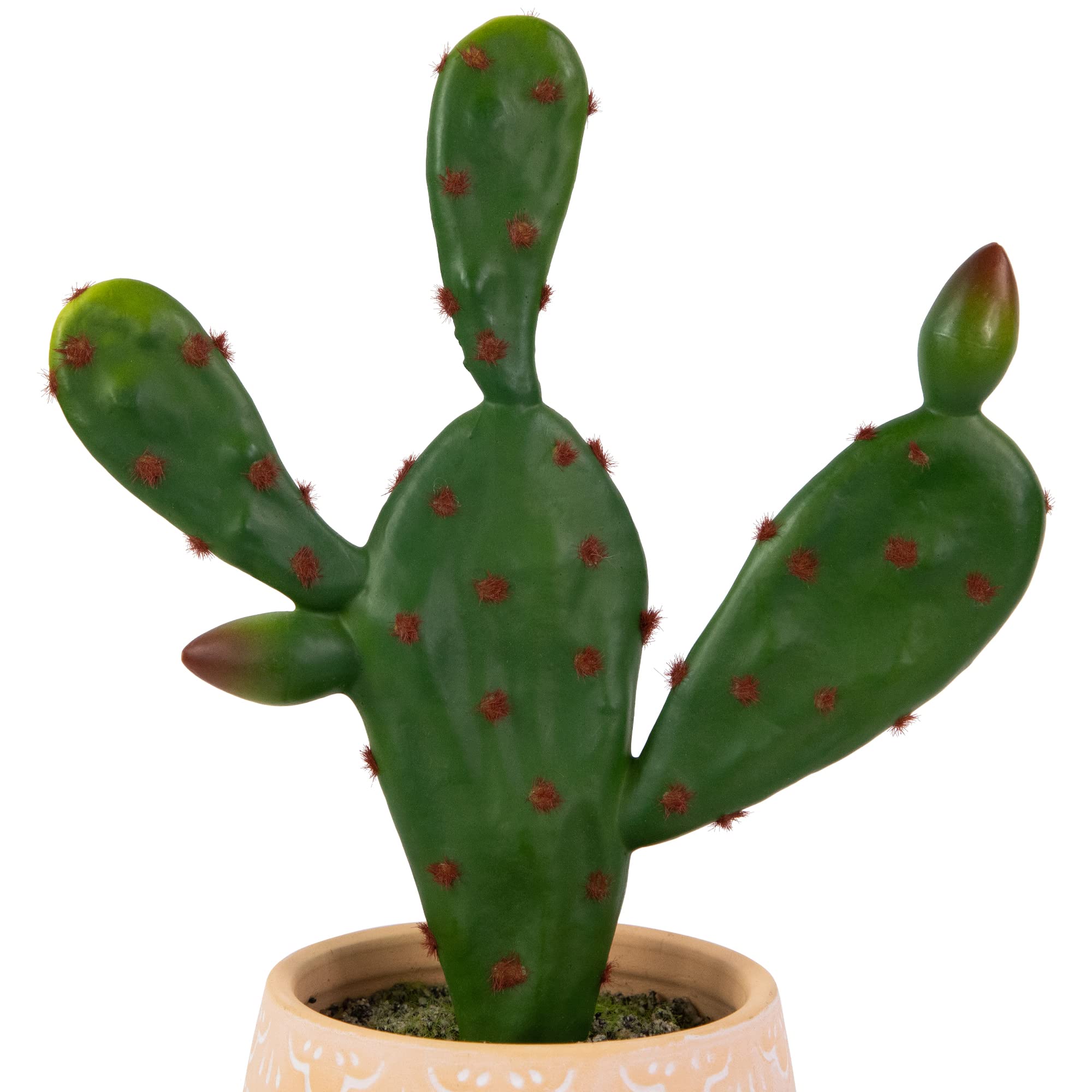 Amazon.com: Northlight Real Touch™ Artificial Green and Red Potted