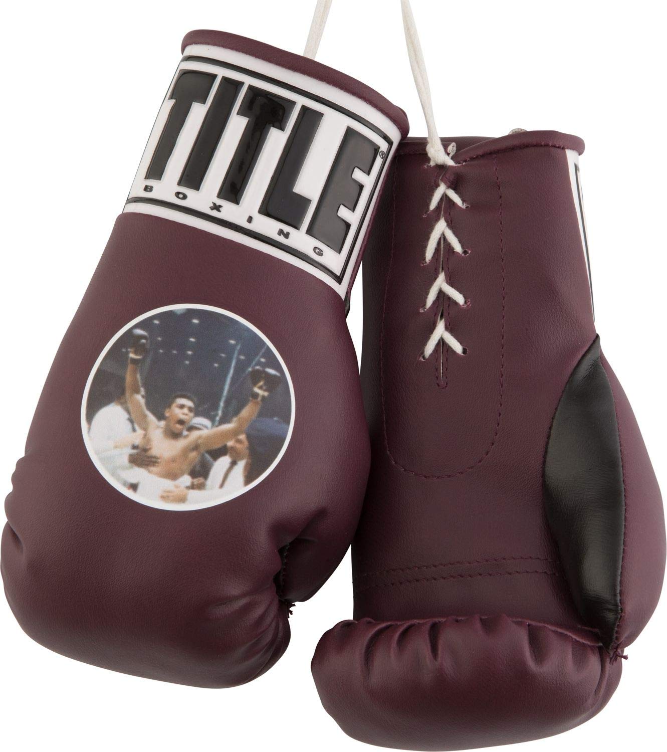 Boxing Champion Muhammad Ali Title Boxing Gloves Title Boxing Ali