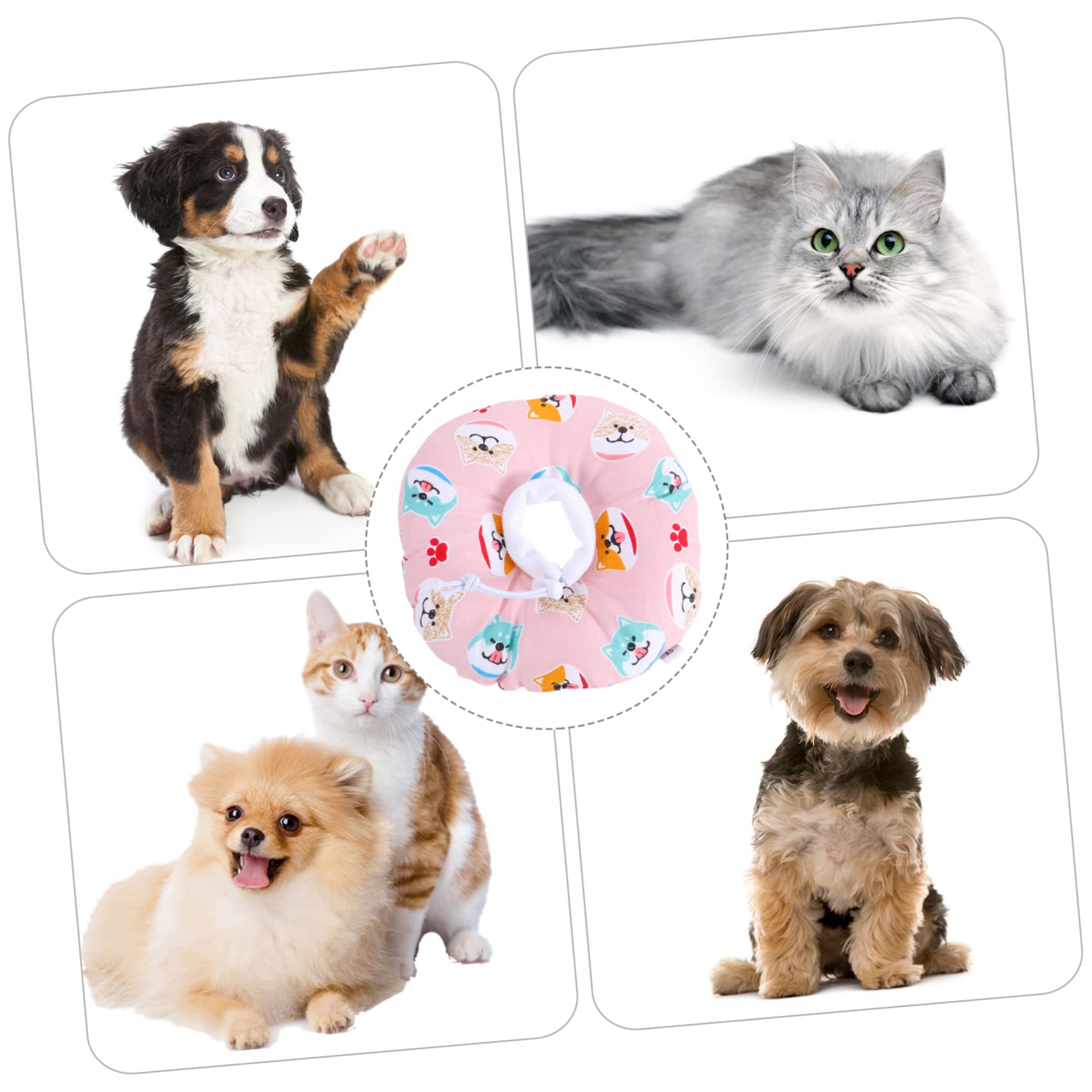 Sosoport 3piezas Collar De para Gatos Pequeños y Cachorros Collar para Protección De Heridas Diseño Cómodo y Ayuda La De Lesiones y Operaciones