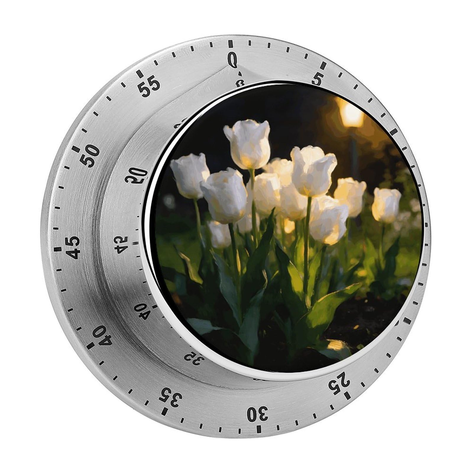 Snow Timer Under Lamp Exquisite Stainless Steel Desktop Visual Timer with Loud Alarm, 60 Mins Mechanical Countdown Timer, Backup