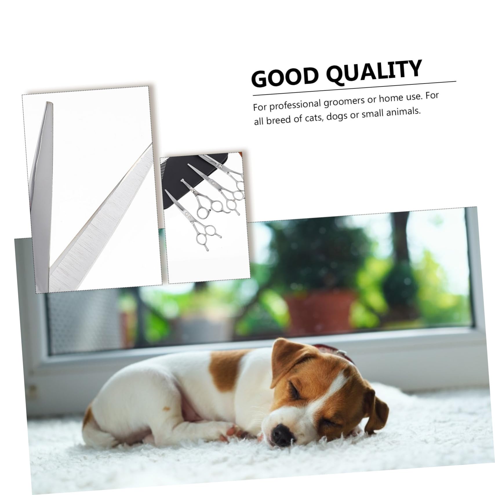 Yardwe Kit Ciseaux Coiffure pour Animaux Ciseaux Toilettage Chiens Outils Coupe Poils Animaux de Coiffeur Cheveux Chiens