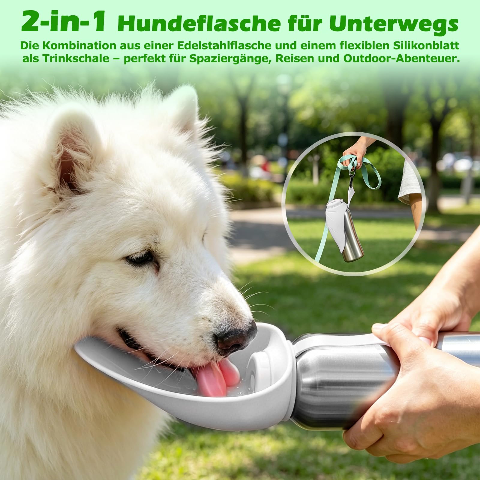 Nepfaivy Trinkflasche Hunde für Unterwegs Edelstahl 800ml - Auslaufsichere Hundetrinkflasche für Unterwegs mit Drucktaste, Tragbare Wasserflasche für Alle Hunde zum Reisen, Wandern und Campen, Weiß