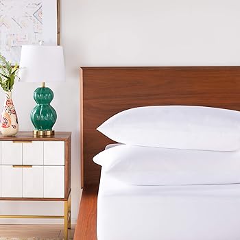 Explore Bed Bugs Covers For Mattresses Amazon Com