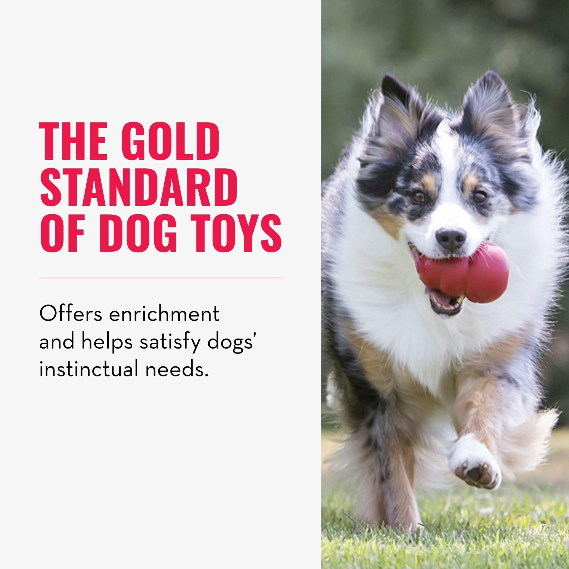 KONG Giocattolo classico per cani, giocattolo da recuperare e masticare per cani, capacità di riempimento e rimbalzo irregolare per un tempo di gioco prolungato, materiale in gomma naturale resistente