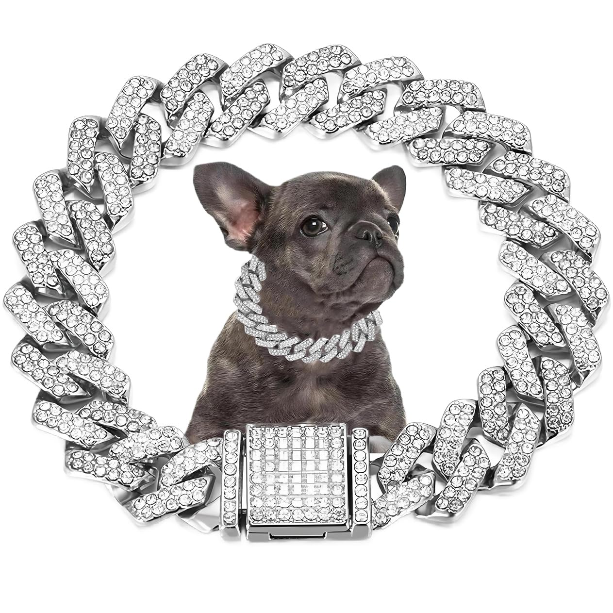 Silver Dog Chain