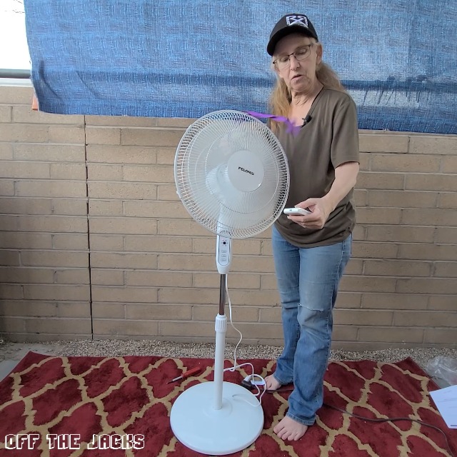 Pelonis Fan with Remote