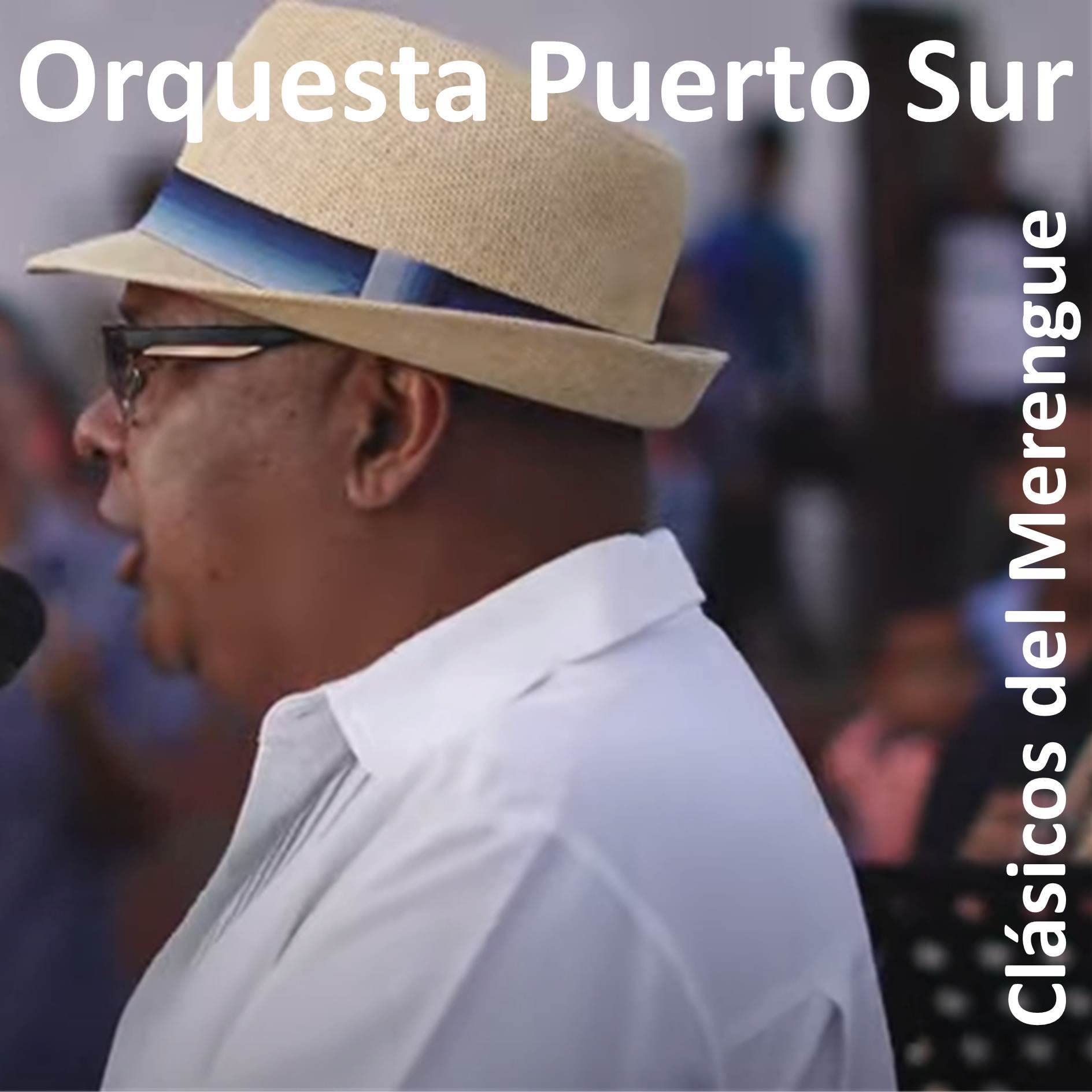 Orquesta Puerto Sur