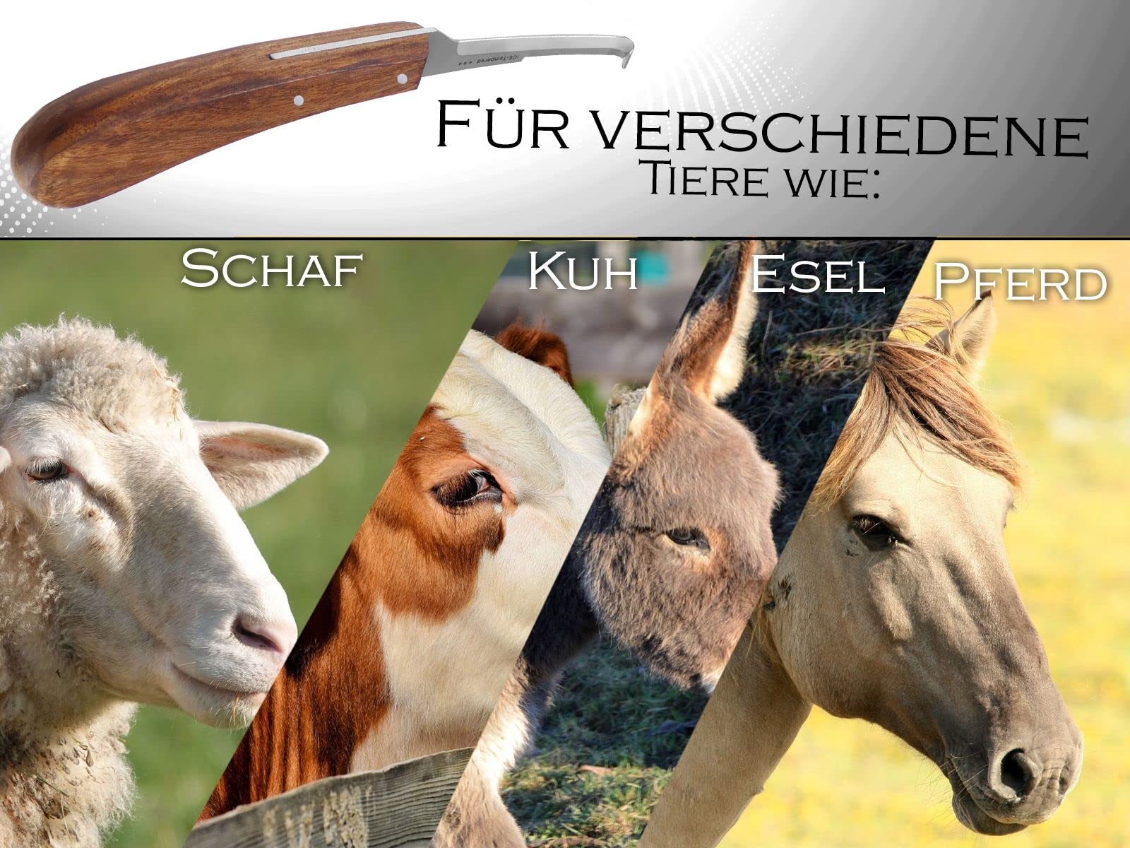 InstrumenteNrw Pferde Hufmesser Set 3er Hufschneidemesser Schlaufenmesser
