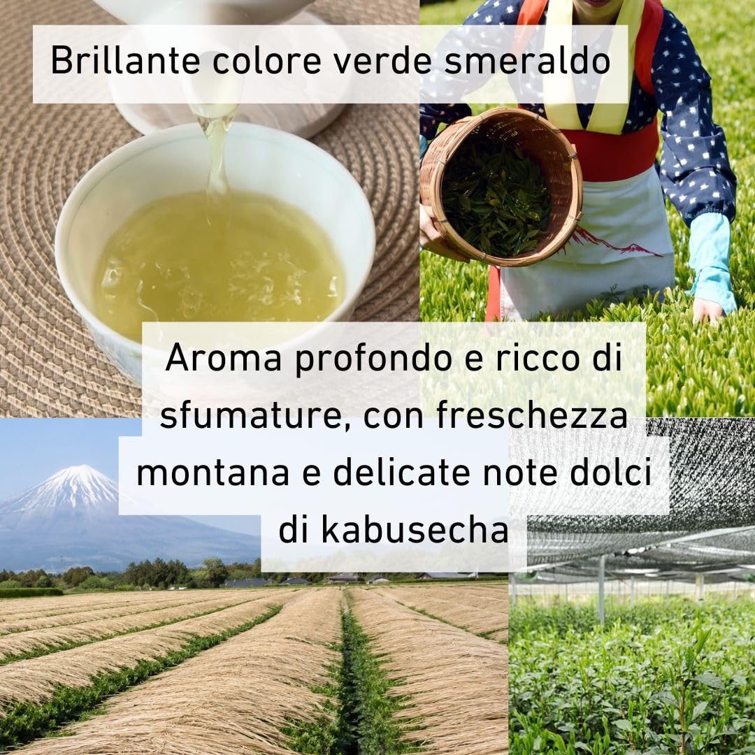 Daisan Premium Sencha Collection 3x50g – Tè Verde Giapponese Shizuoka