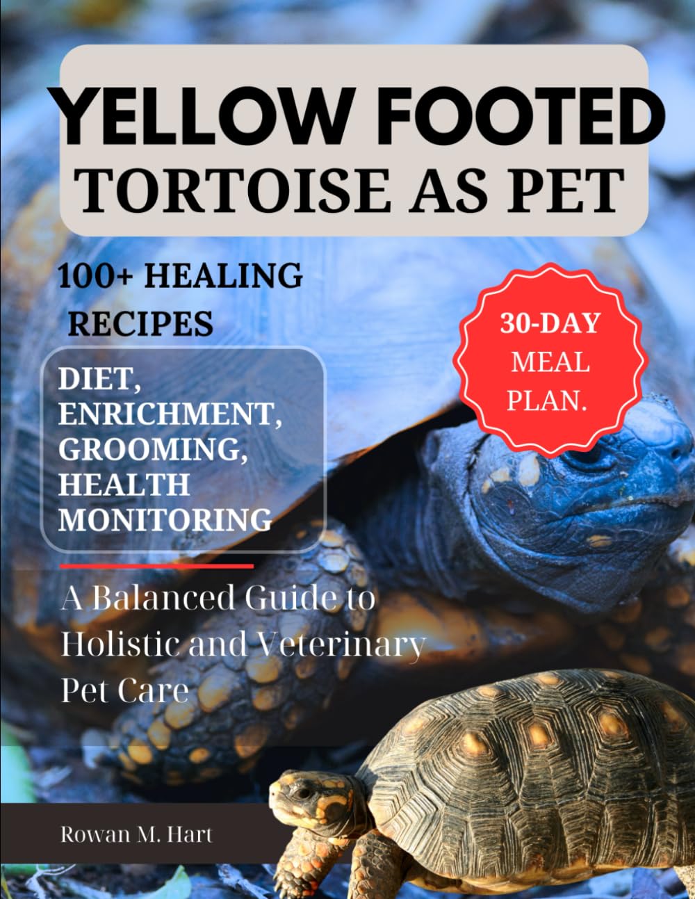 YELLOW FOOTED TORTOISE AS PET: A Balanced Guide to Holistic and Veterinary Pet Care