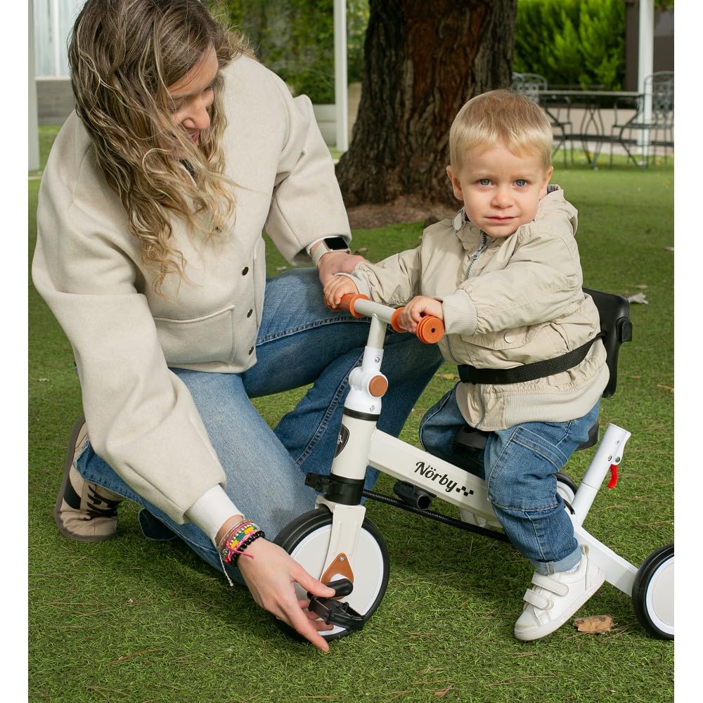 Interbaby Norby: 5 in 1 Dreirad und Laufrad mit Verdeck, 1 bis 5 Jahre
