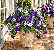 Artificial Flowers, 2 Bundles Faux Silk Pansies, Multi-Color, Weather Resistant, for Outdoor Decoration (Purple)