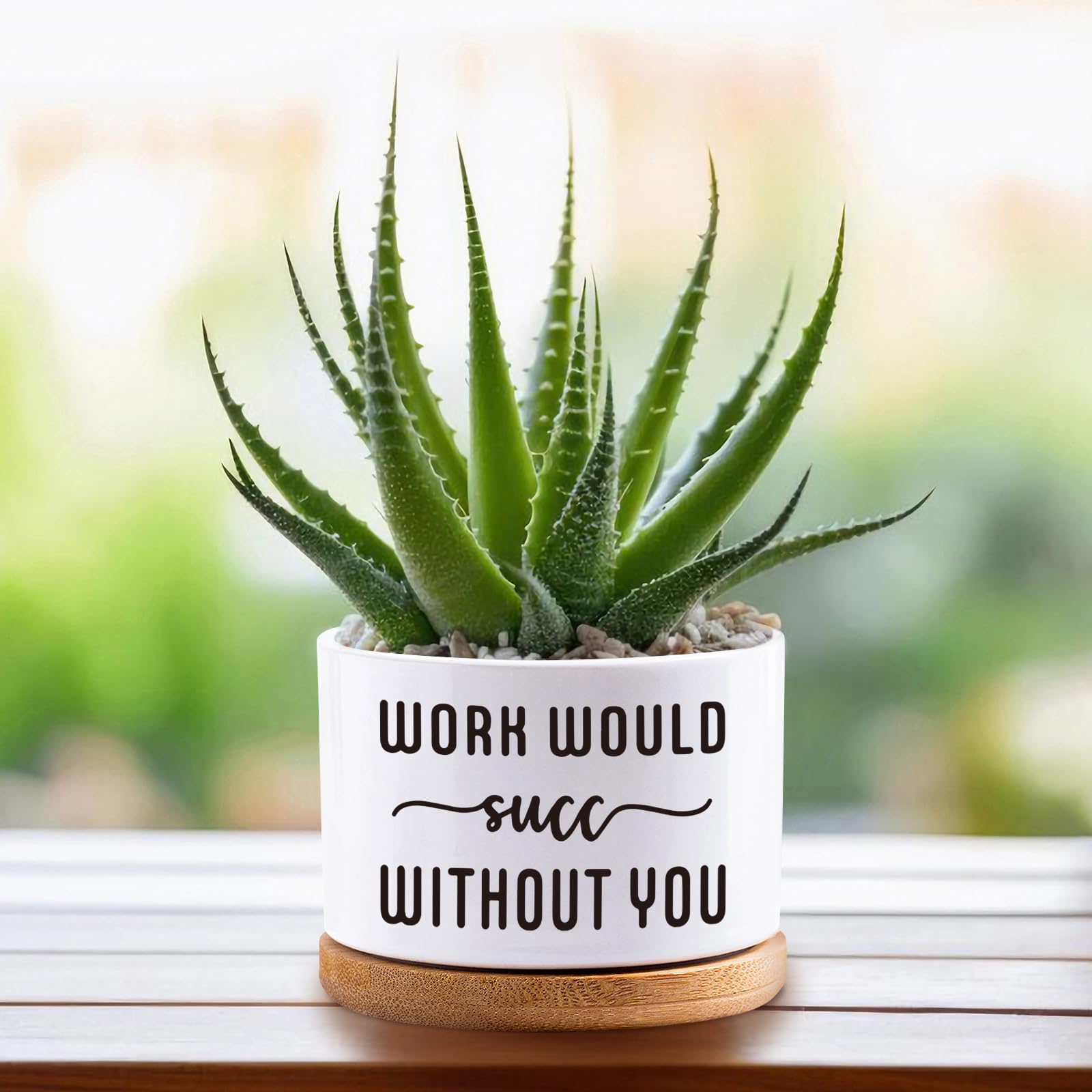 Succulent Plant Pots 3.5 inch Ceramic Succulents Planter - Image 4