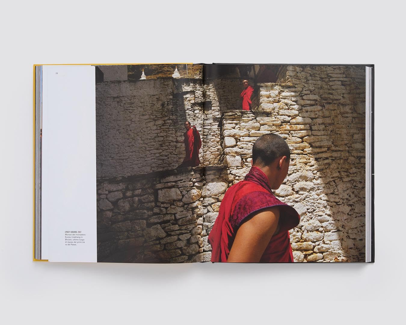 Le grandi fotografie di National Geographic. Ediz. a colori