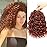 Gogo Curl Crochet Hair 10 Inch Short Curly Crochet Hair for Black Women Beach Curl Water Wave Curly Crochet Braids Hair, Deep Wave Synthetic Braiding Hair Extensions (10 inch 7 Packs 350)