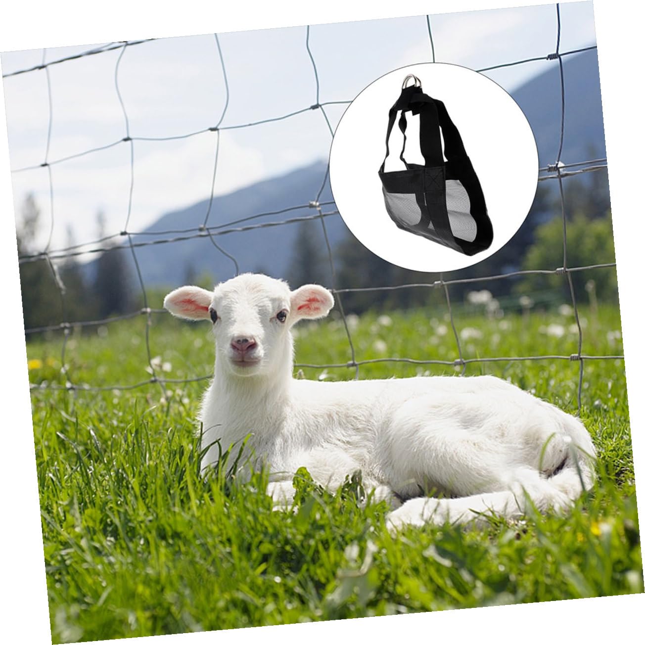 Imbracatura Riutilizzabile in Nylon Nero e Bestiame Pesare 2 Pezzi per Comoda e Resistente Piccoli Animali per Uso Agricoltura e Allevamento