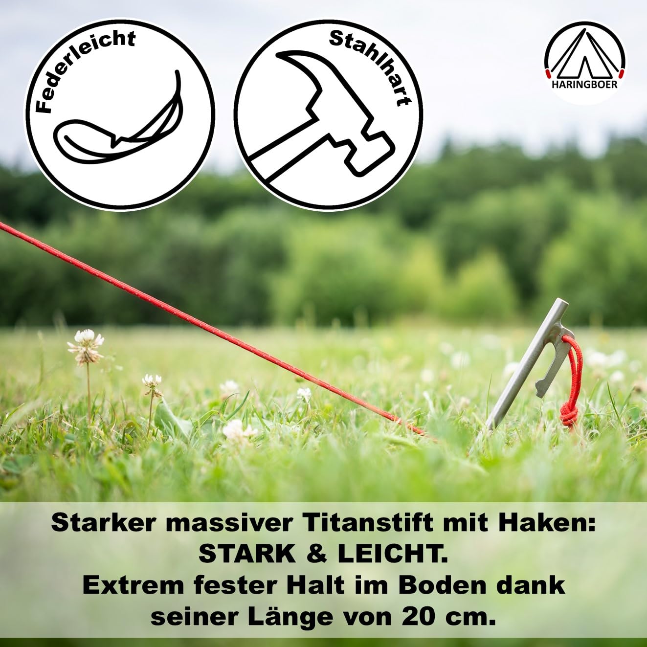Titan Bodenanker 20cm - 8 Stück Zeltheringe - Starke, leichte Titanium Zelt Heringe - 38 Gramm pro Erdanker für Harte steinige Böden - Erdnagel inklusive Zugband & Heringsbeutel