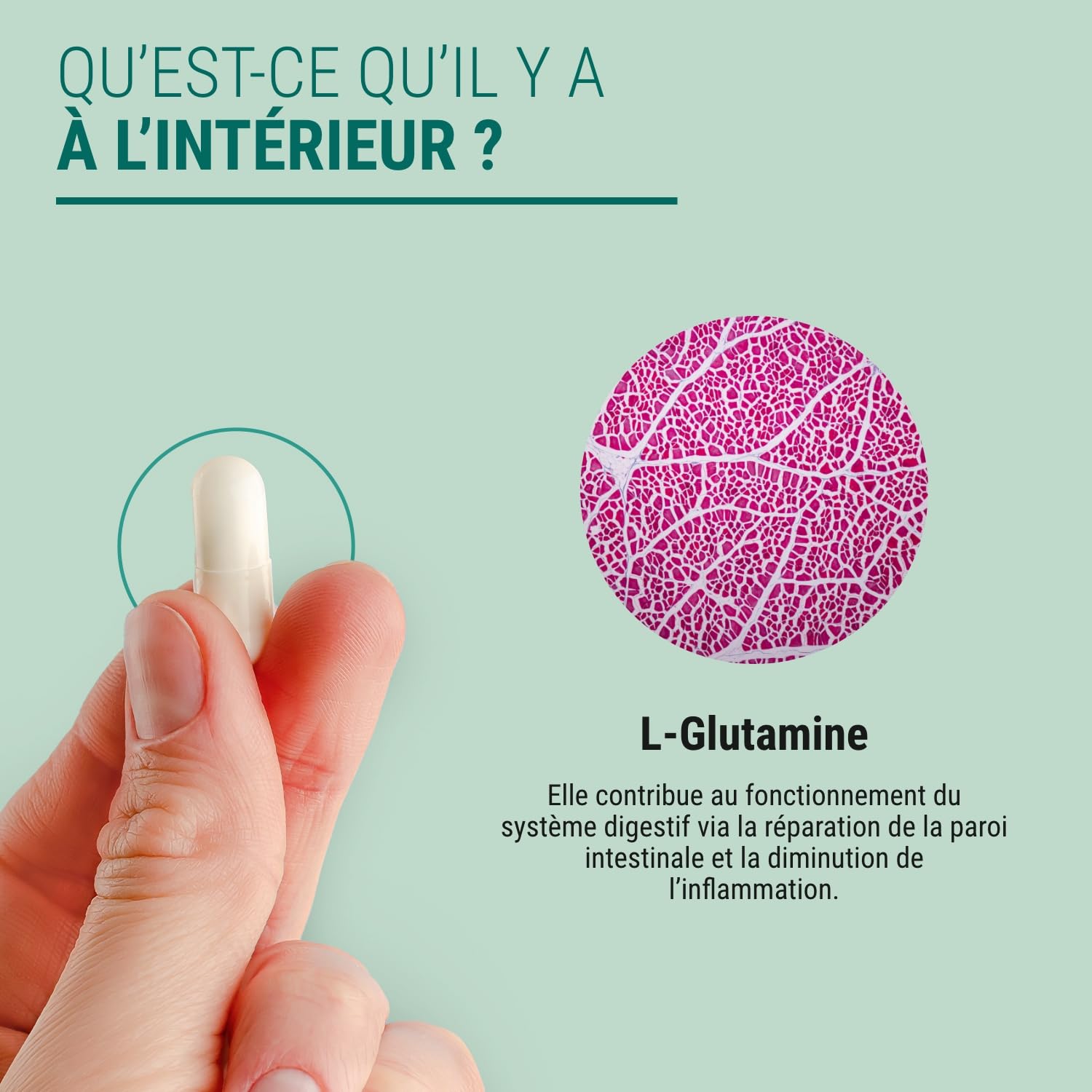 L-GLUTAMINE 500 - Fort dosage - Anti-inflammatoire - Complément Alimentaire Confort Digestif Intestinal - 150 Gélules - Fabriqué en France - Vegan - Sans Additifs Allergènes OGM