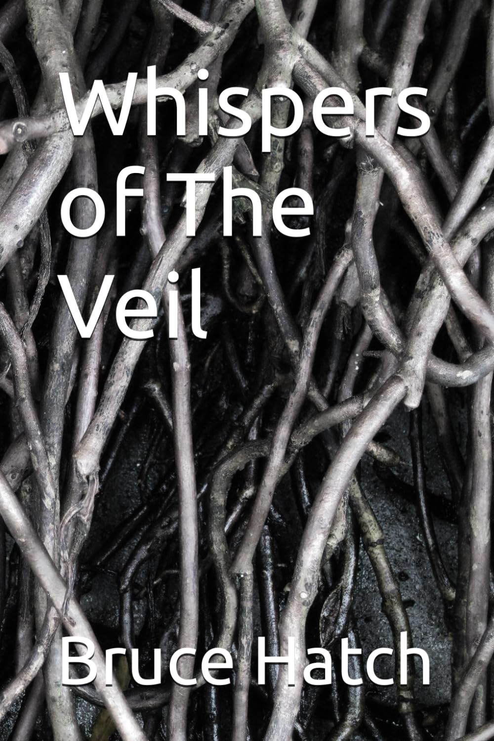 Whispers of The Veil