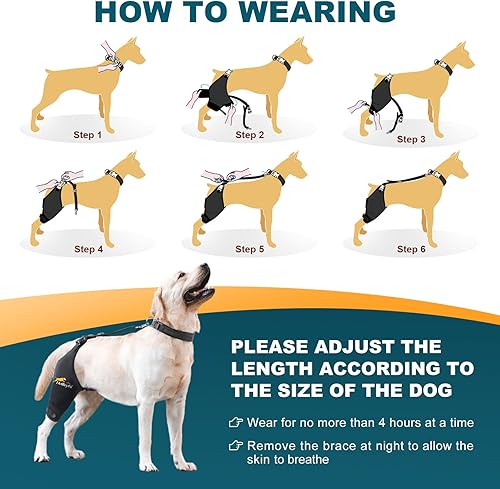 Miniatura 12 de Rodillera para perro para pierna trasera desgarrada del ligamento cruzado anterior, soporte para luxación de rótula u osteoartritis, lesiones