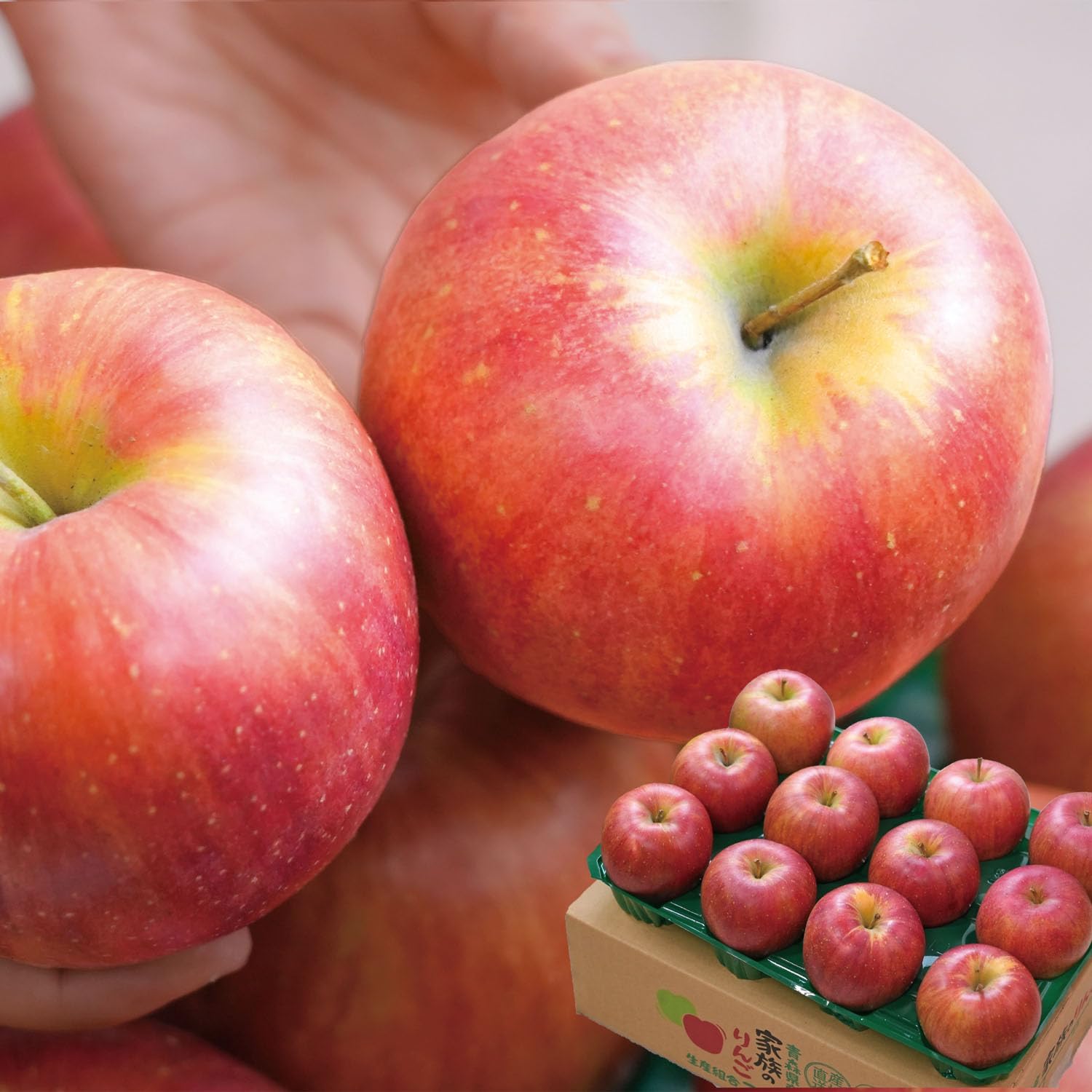 【10月下旬順次発送予定】贈答用 青森県産 りんご シナノスイート 3kg5kg 産地直送 ギフト (3kg（クール便）)