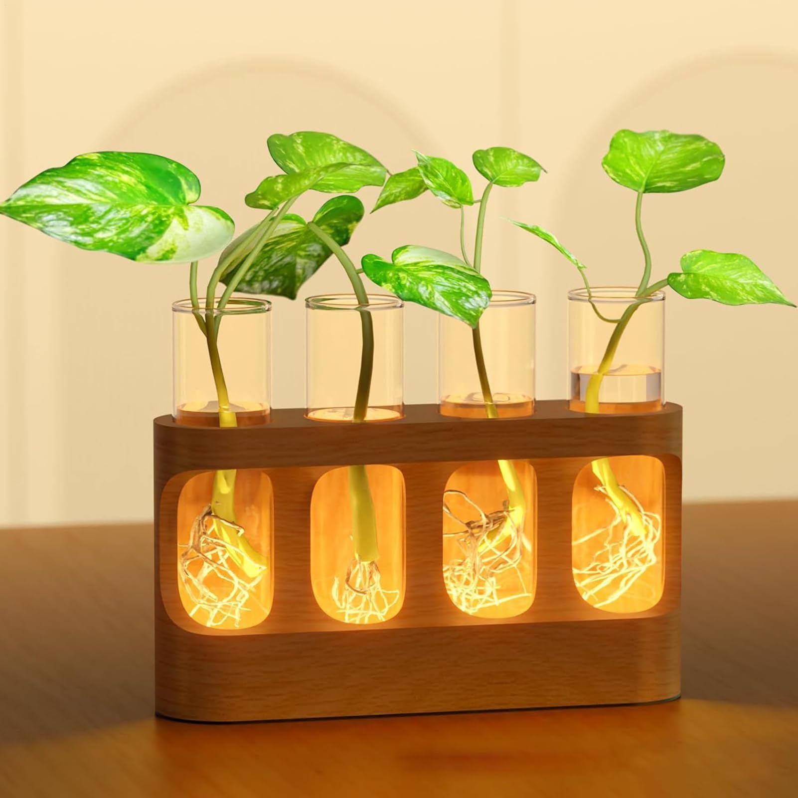 Vase De Propagation Terrarium avec Éclairage LED Réglable