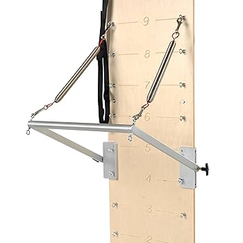 ピラティス　ホームピラティス Amazon.co.jp: PhysicalMind Institute TYE4®およびTYE4X