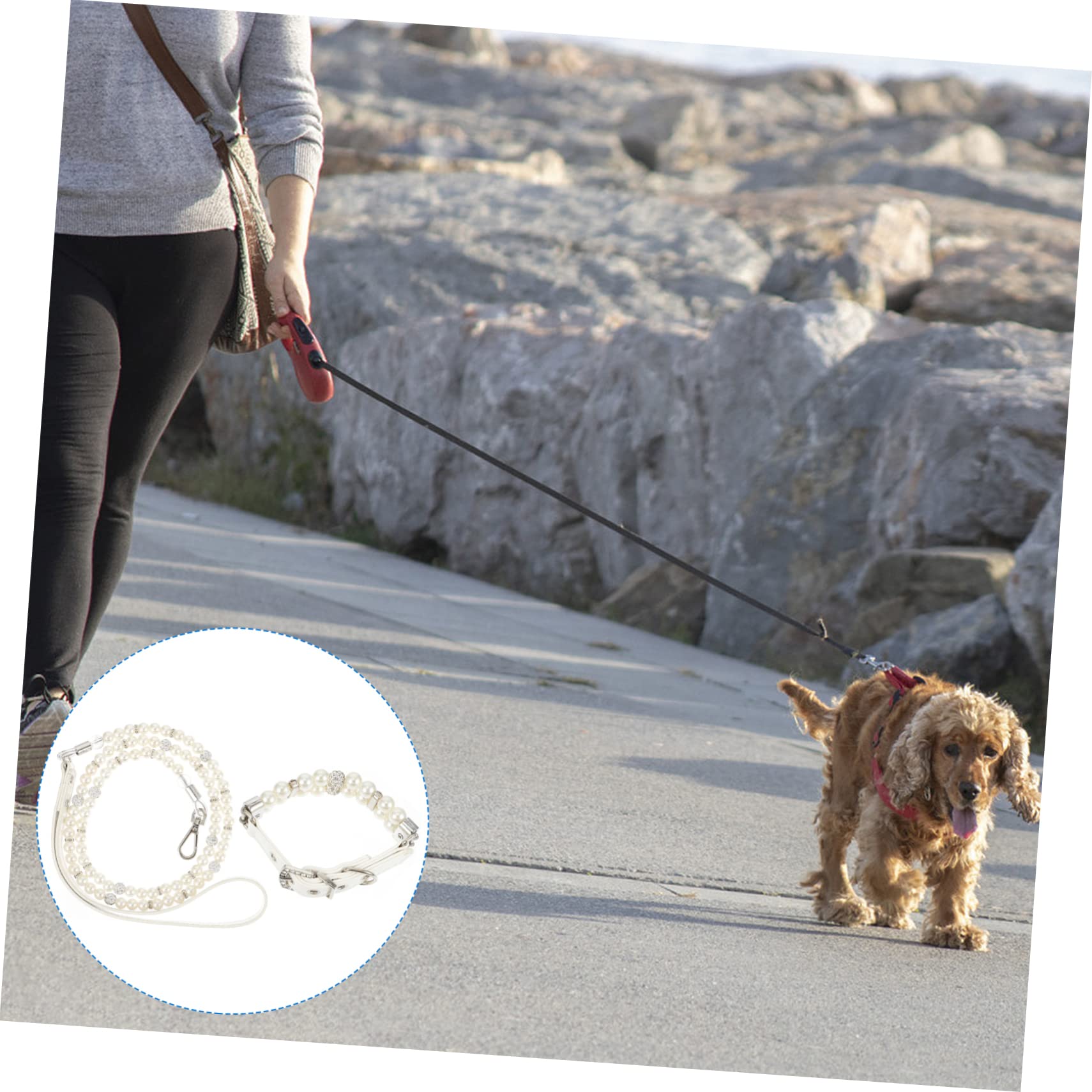Collare e Guinzaglio Cane Perle Finte Bianco in Pelle PU 2 Pezzi | Regolabile e Staccabile, per Cuccioli e Cani Piccoli, per Addestramento, Feste, Matrimoni e Foto, Bianco