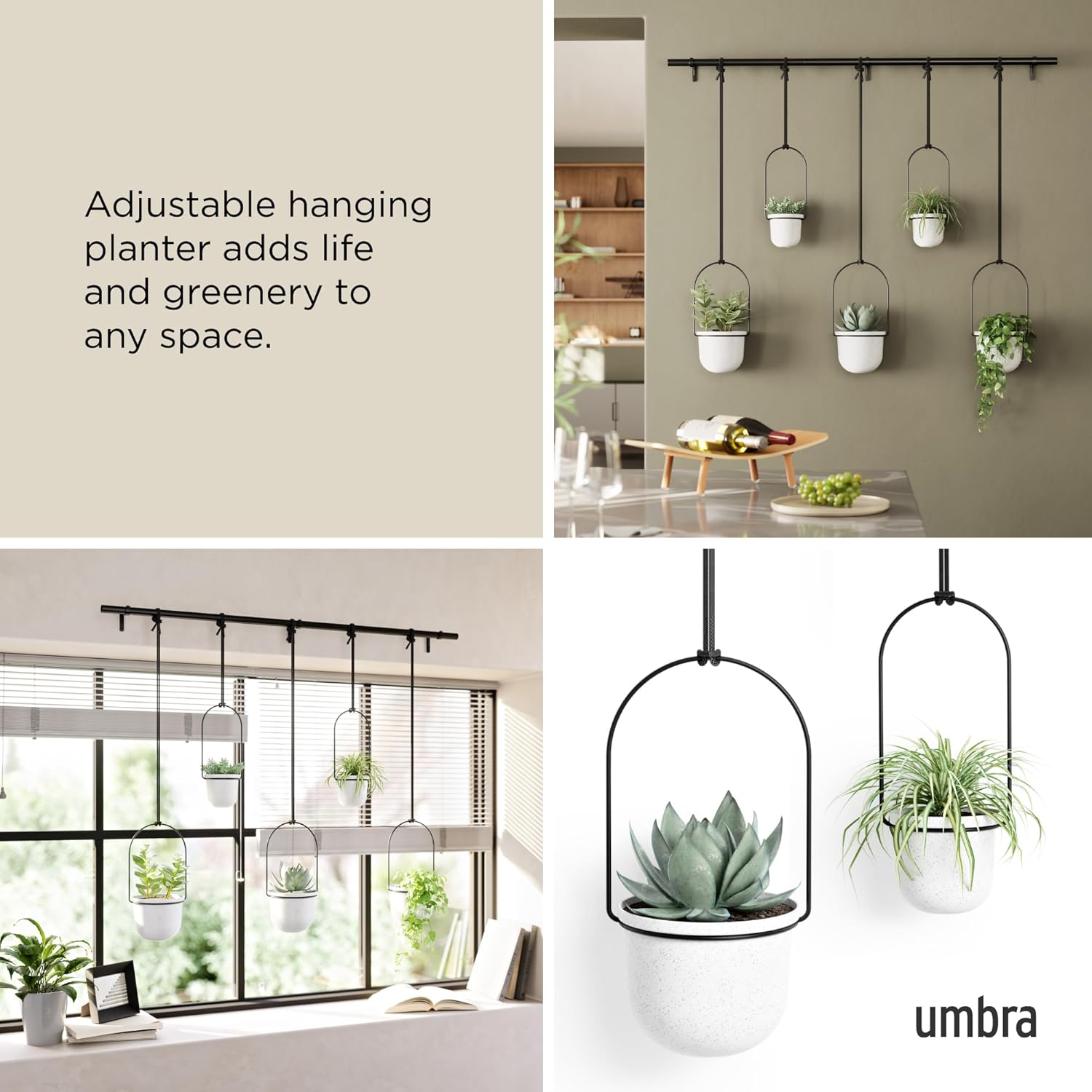 Umbra Triflora Hanging Planter for Window, Indoor Herb Garden, Set of 5, White/Black - Image 4