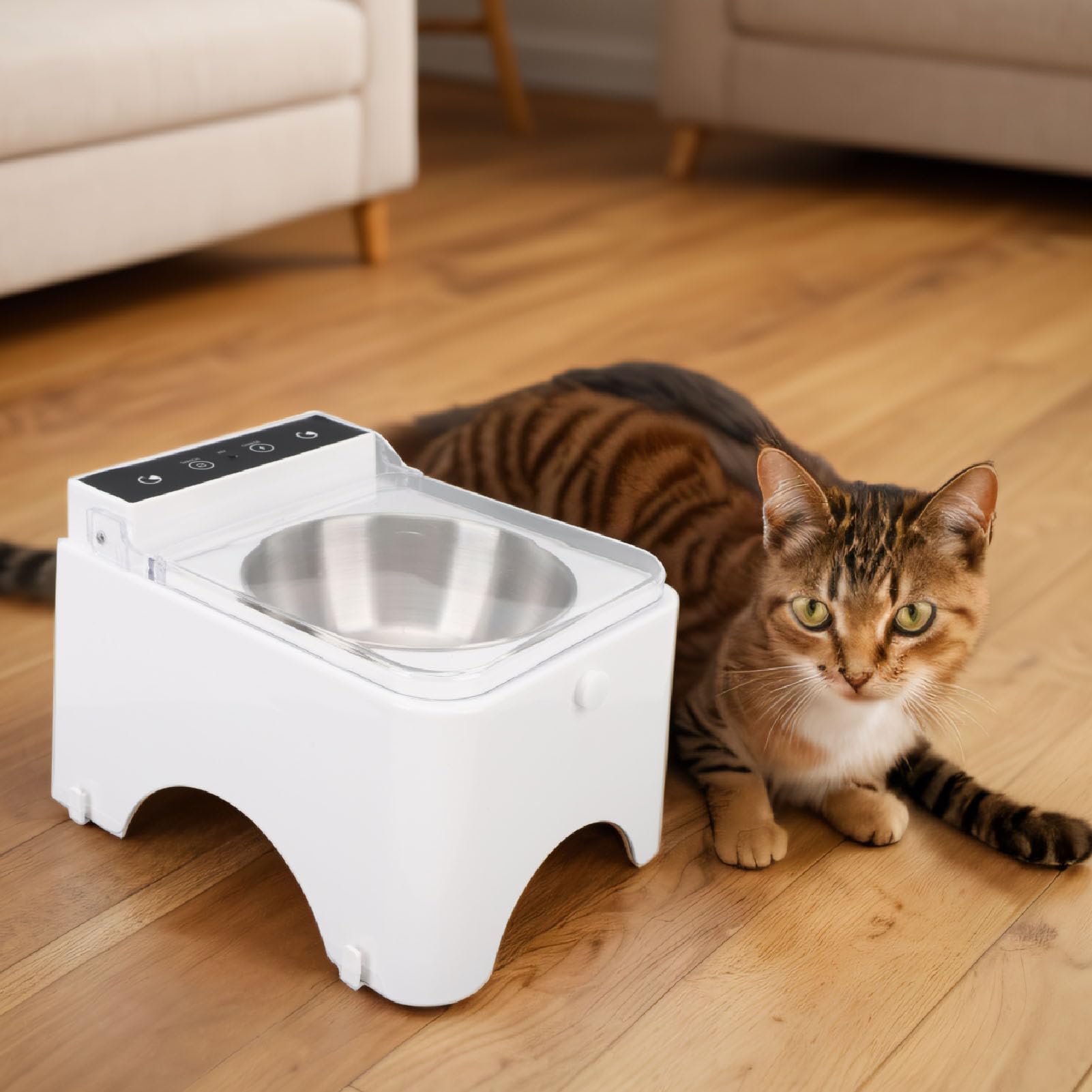 Alomejor Mangiatoia con Rilevamento Automatico per Gatti Design Intelligente, Igienico e Robusto per Animali Domestici da Interni Soluzione di Alimentazione 21 X 16 X 15 Cm (stile 1)