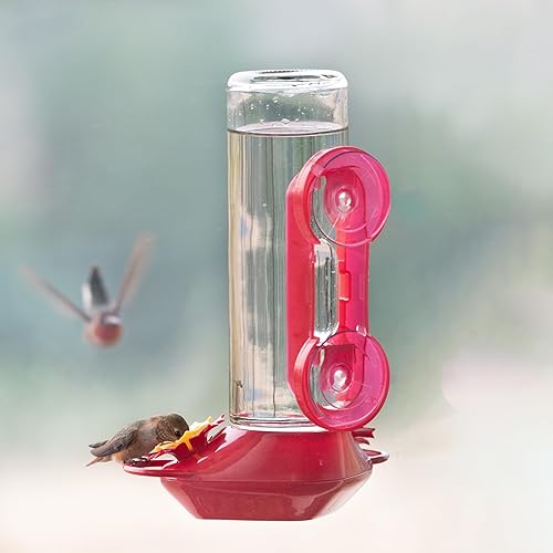 Miniatura 14 de Perky-Pet 455-2 - Comedero para colibríes con ventana de vidrio 445-2, rojo, 14 onzas
