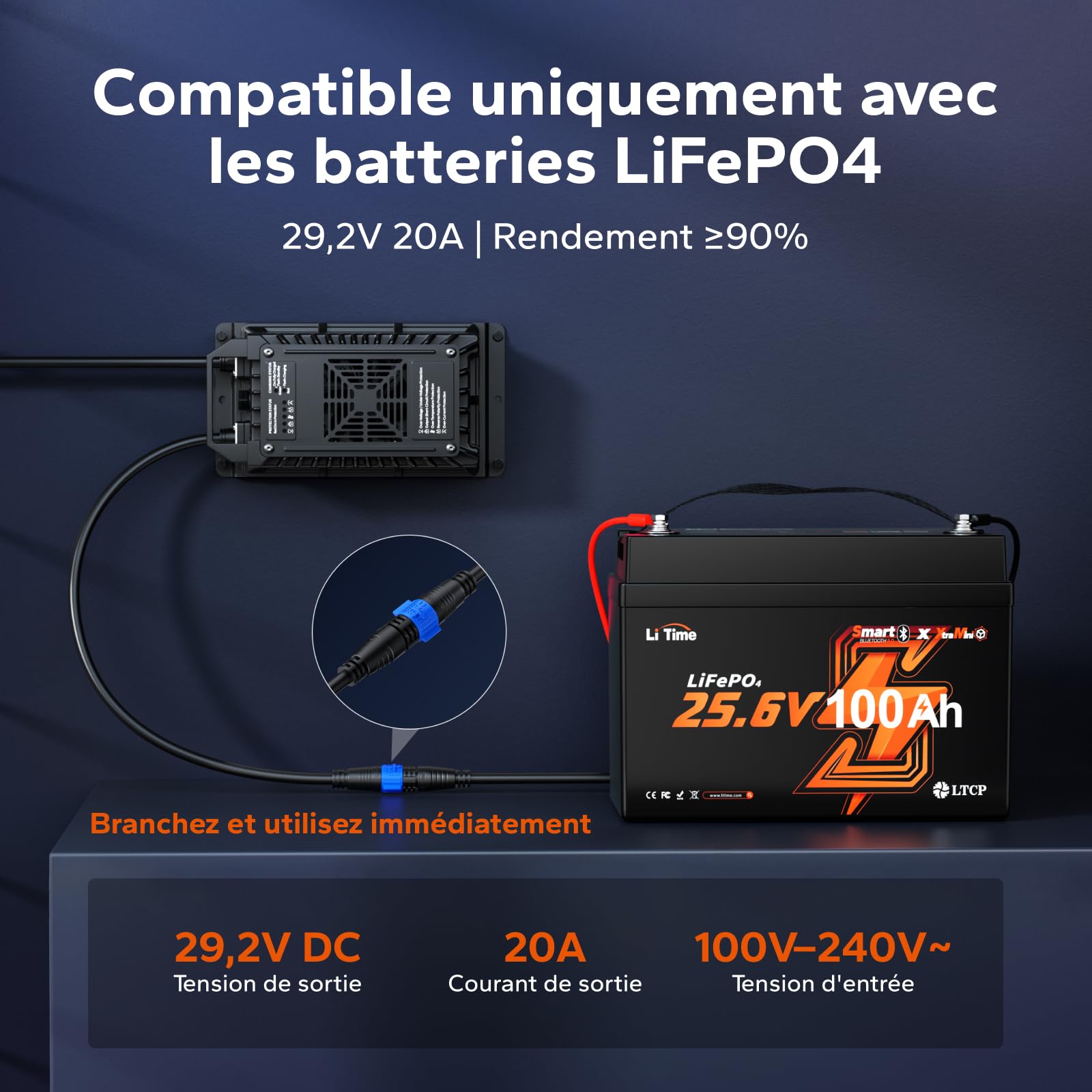 LiTime Chargeur Batterie Lithium 24V 20A, 29,2V AC-DC, IP67 Étanche