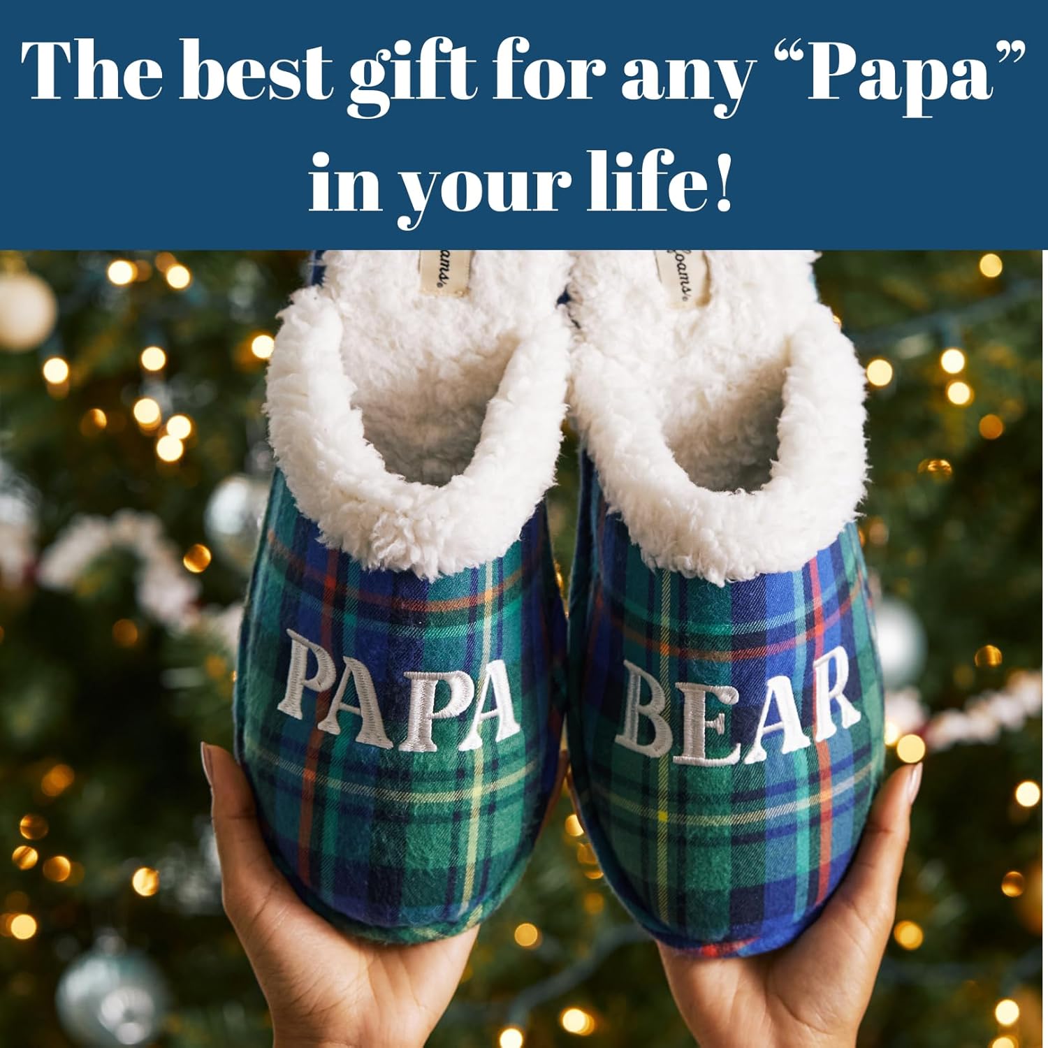 Dearfoams mens Gifts for Dad Funny Fathers Day Papa Bear Slipper - Image 4