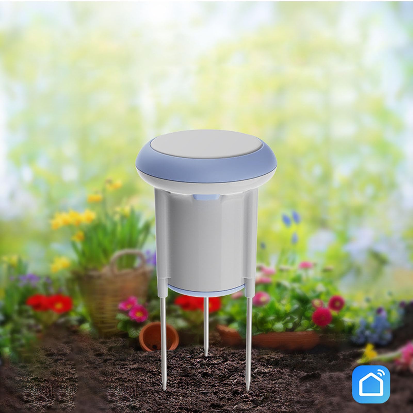 Haofy Détecteur Smart WiFi WiFi Température et Compteur d'humidité avec Sonde en Acier Inoxydable, Support IP66 pour L'application pour Les Serres de Plantes, Les Fonctions D'alarme