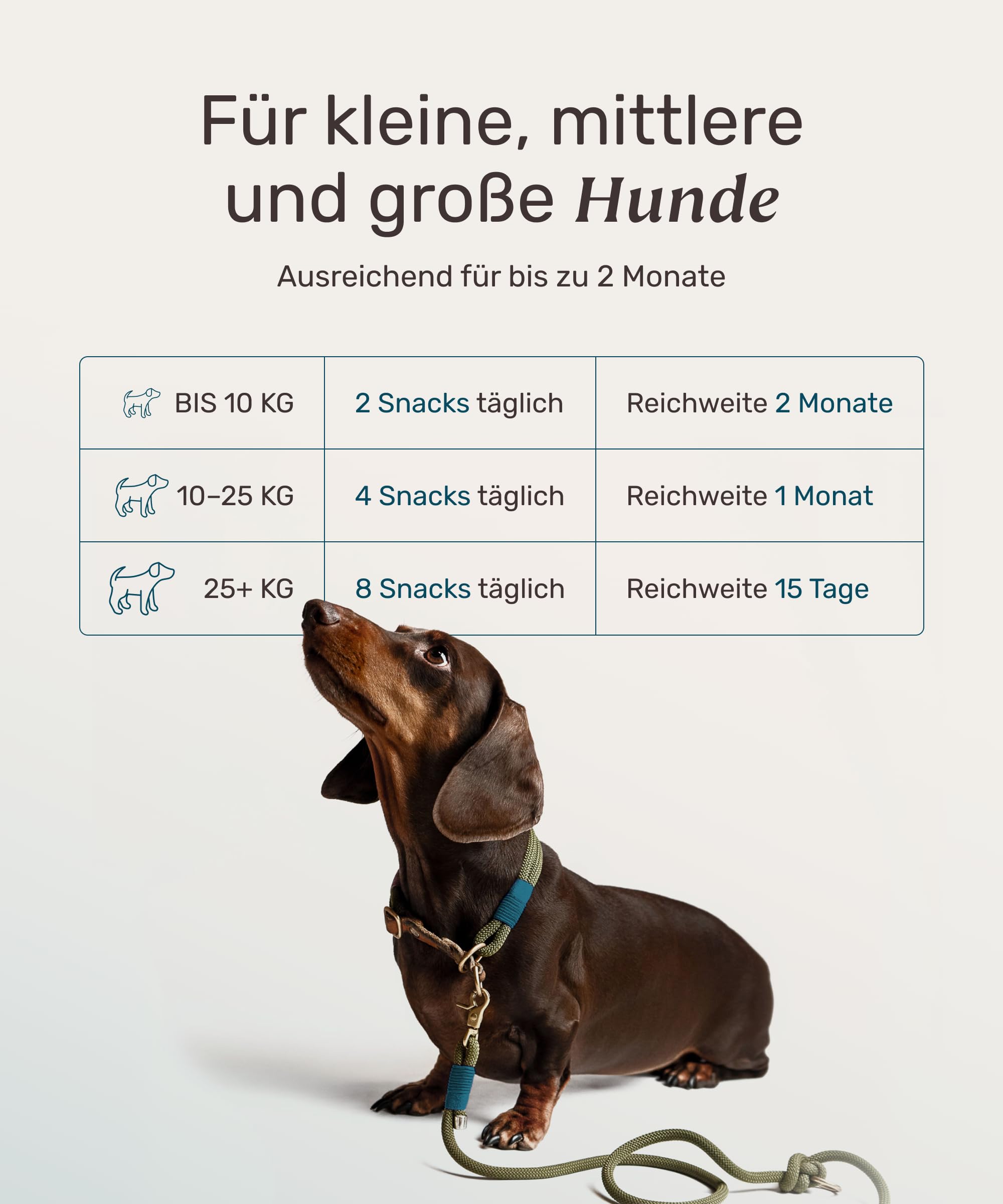 11-in-1 Grünlippmuschel Hund Gelenktabletten - Active Hips 110 Leckerli (325g) von mammaly - Gelenk- & Knochenschutz für Hunde - Praktische Alternative zu Kapseln & Grünlippmuschelpulver für Senior