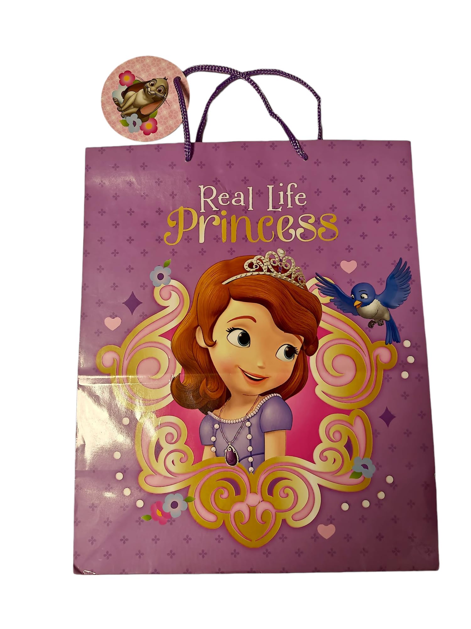 Gift Bags Childrens, 5-Pack Birthday Character Design Gift Bag Large Size 27 x 32 cm, Kids Party Design,1 Multipack Presents Gift bags (Sofia the First)