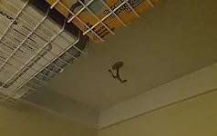 Review Image by Friagram Friagram