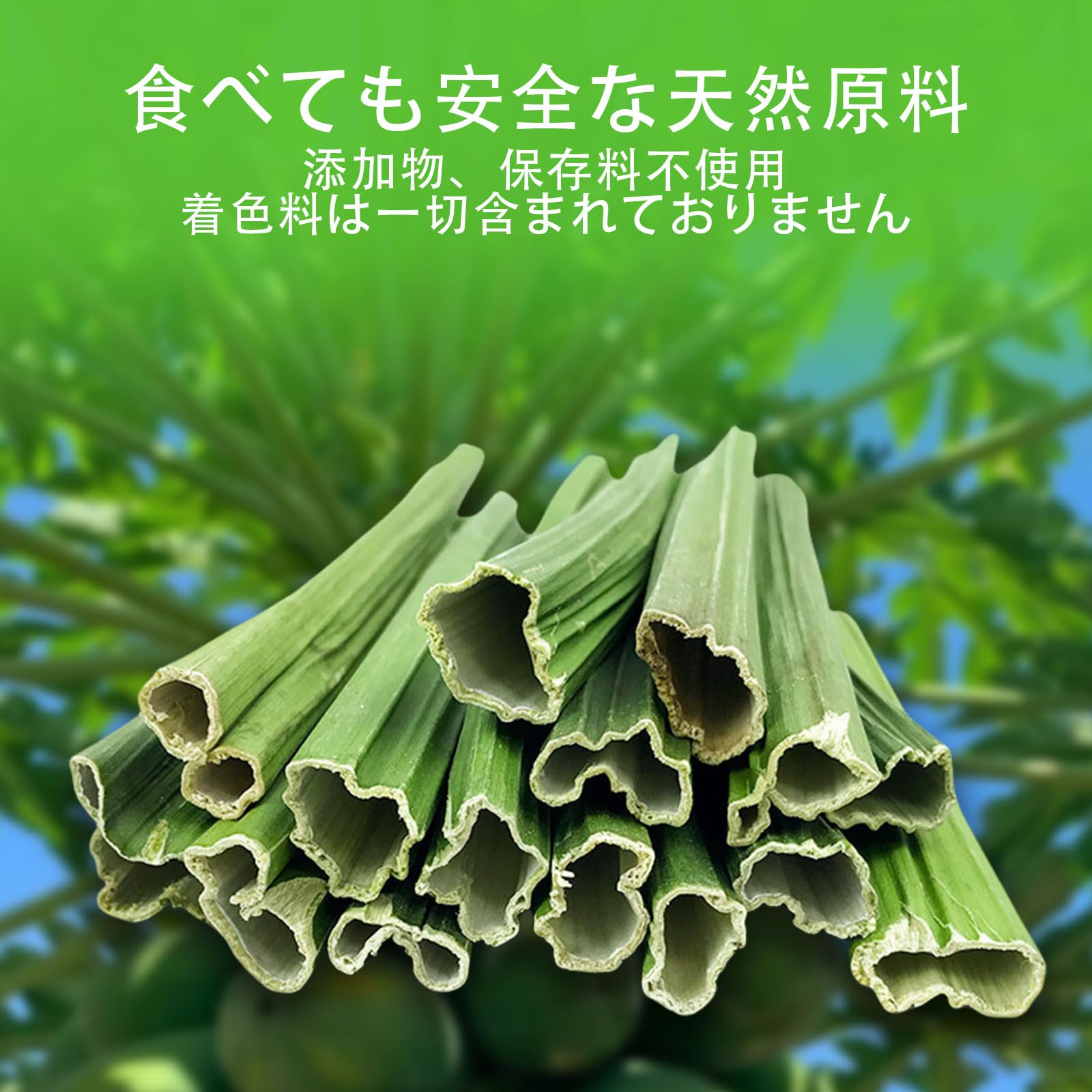 Amazon | ウサギ 噛むおもちゃ 40g パパイヤの葉の茎 小動物用の