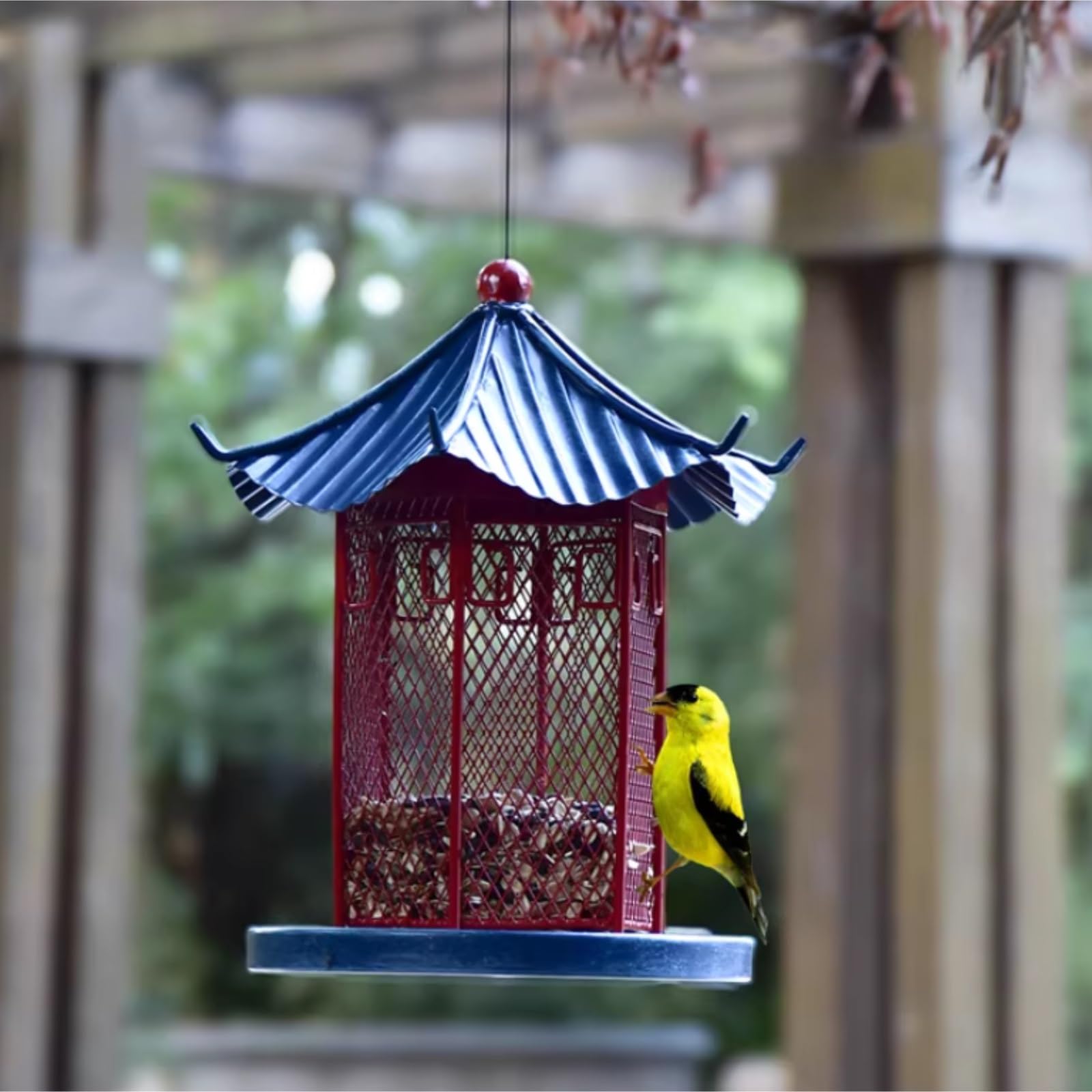 Mangiatoia Uccelli Mangiatoia for Uccelli Sospesa A Forma di Padiglione for Giardino Esterno con Balcone Bird Feeder