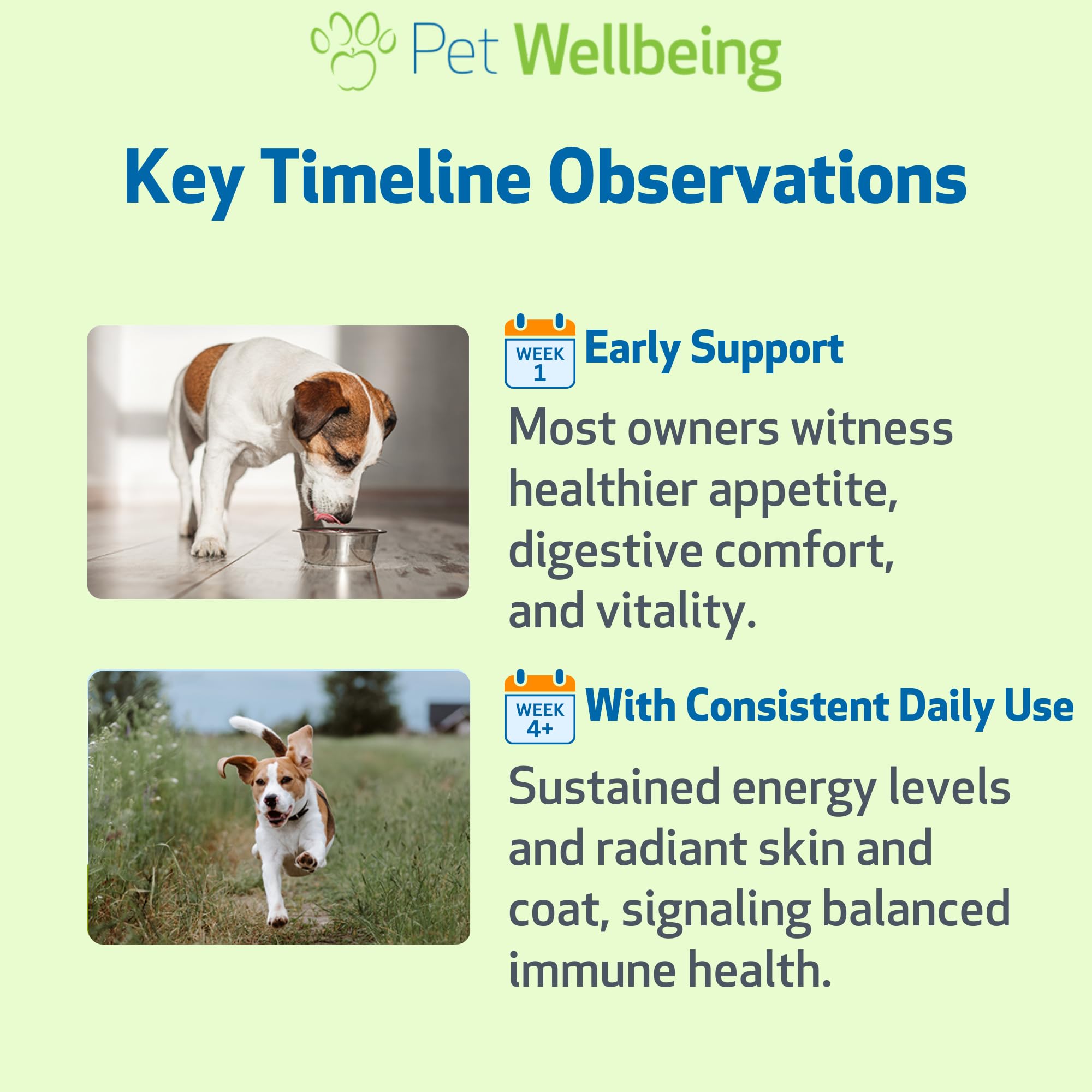 Pet Wellbeing Pilz Immun - Potent Ergänzende, Alternative Gesundheit Unterstützung Für Immunsupprimierten Hunden Und Katzen 8 Unzen, Gold